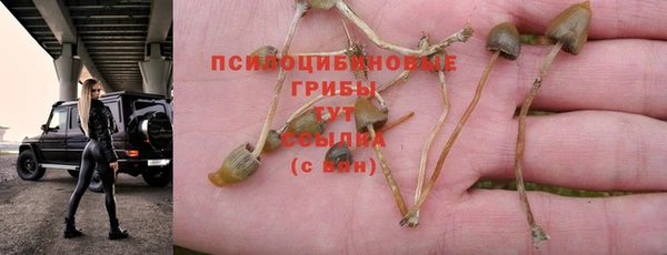 не бодяженный Абинск