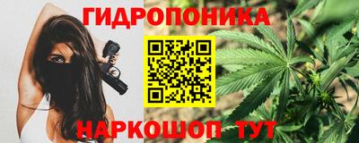 эйфоретик Кандалакша