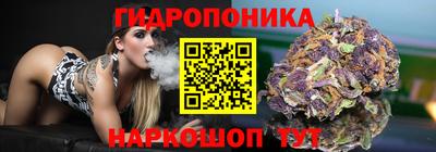 эйфоретик Кандалакша