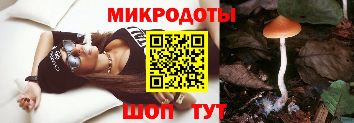 Галлюциногенные грибы Magic Shrooms Новочебоксарск