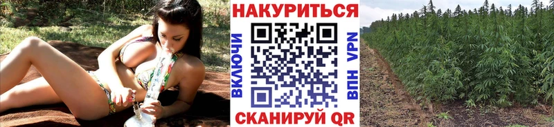 Марихуана SATIVA & INDICA  купить наркотики цена  Новочебоксарск 